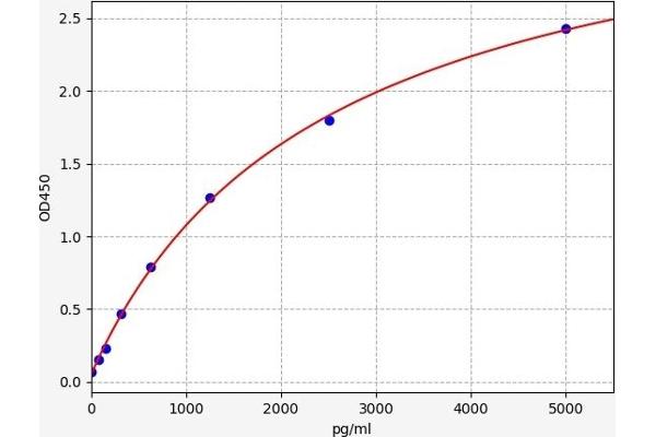 VKORC1 ELISA Kit