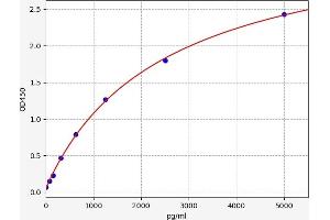 Typical standard curve (VKORC1 ELISA Kit)