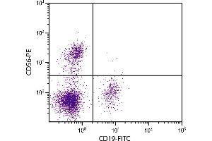 Human peripheral blood lymphocytes were stained with Mouse Anti-Human CD56-PE. (CD56 antibody  (SPRD))