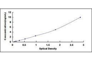 ELISA image for Brain-Derived Neurotrophic Factor (BDNF) ELISA Kit (ABIN6574127)