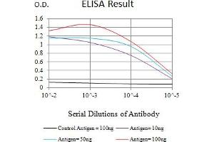 Black line: Control Antigen (100 ng),Purple line: Antigen (10 ng), Blue line: Antigen (50 ng), Red line:Antigen (100 ng) (CLEC10A antibody  (AA 158-316))