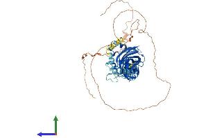 Protein Structure (PS) image for Early B-Cell Factor 2 (EBF2) (AA 1-575) protein (His tag) (ABIN7562207)