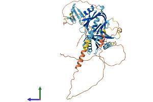 AlphaFold protein structure predicition of Mouse Recombinant Apbb3 Protein, UniprotID Q8R1C9 (APBB3 Protein (AA 1-486) (His tag))