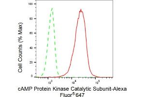 Flow cytometric analysis of cAMP Protein Kinase Catalytic Subunit expression in C2C12 cells using cAMP Protein Kinase Catalytic Subunit antibody (ABIN7797808), 1:2,000). (Recombinant C-AMP Protein Kinase (Catalytic Subunit) antibody)