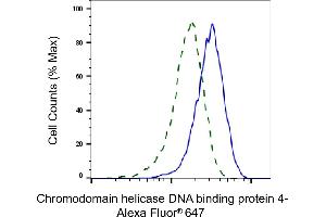 Validation of Chromodomain helicase DNA binding protein 4 knockdown using flow cytometry. (Recombinant Chromodomain Helicase DNA Binding 4 antibody)