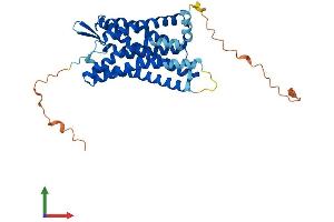 Protein Structure (PS) image for Pyrimidinergic Receptor P2Y, G-Protein Coupled, 4 (P2RY4) (AA 1-365) protein (His tag) (ABIN7550403)