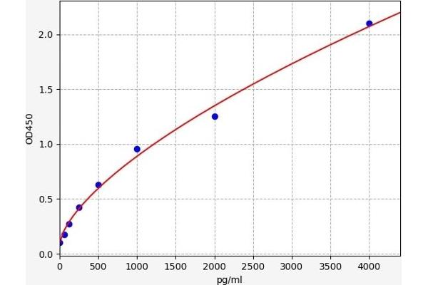 CNR2 ELISA Kit