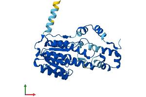 Protein Structure (PS) image for Short Chain Dehydrogenase/reductase Family 9C, Member 7 (SDR9C7) (AA 1-313) protein (His tag) (ABIN7547236)