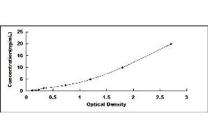Typical standard curve