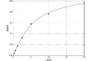 Signal Transducer and Activator of Transcription 1, 91kDa (STAT1) ELISA Kit