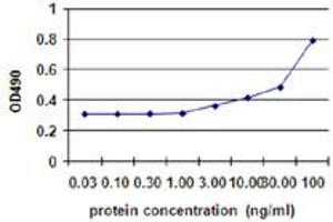 Sandwich ELISA detection sensitivity ranging from 3 ng/ml to 100 ng/ml.