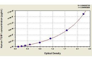 Typical standard curve (TGM1 ELISA Kit)