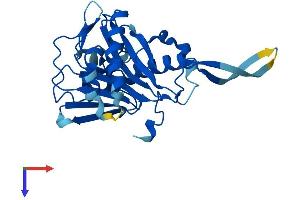 Protein Structure (PS) image for Radial Spoke Head 9 Homolog (RSPH9) (AA 1-276) protein (His tag) (ABIN7545864)