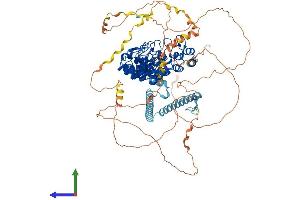 AlphaFold protein structure predicition of Mouse Recombinant Espn Protein, UniprotID Q9ET47 (Espin Protein (ESPN) (AA 1-871) (His tag))