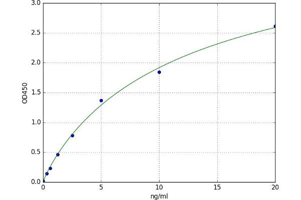 PLP2 ELISA Kit