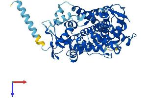 AlphaFold protein structure predicition of Mouse Recombinant Cyp2c38 Protein, UniprotID P56655
