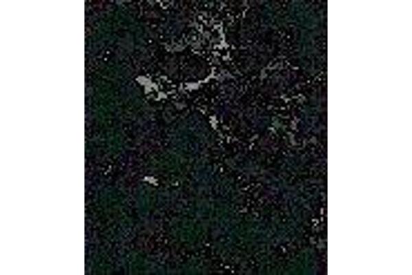 HCV Core Protein antibody  (AA 13-124, AA 369-704) (FITC)