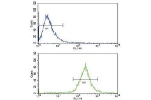 Flow Cytometry (FACS) image for anti-Bone Morphogenetic Protein Receptor 1A (BMPR1A) (AA 1-30) antibody (ABIN3030185)