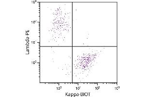 CD19+ human B-lymphocytes were stained with Goat Anti-Human Kappa-BIOT and Goat F(ab’)2 Anti-Human Lambda, Mouse ads-PE. (Goat anti-Human Ig (Chain kappa) Antibody (Biotin))