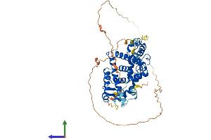 Protein Structure (PS) image for Retinoid X Receptor, alpha (RXRA) (AA 1-467) protein (His tag) (ABIN7563061)
