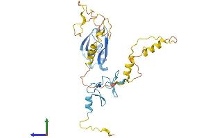 AlphaFold protein structure predicition of Mouse Recombinant Pdlim3 Protein, UniprotID O70209 (PDLIM3 Protein (AA 1-316) (His tag))