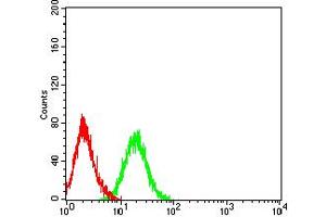 Flow cytometric analysis of HL-60 cells using CD89 mouse mAb (green) and negative control (red). (FCAR antibody  (AA 22-227))