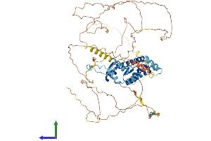 Protein Structure (PS) image for A Kinase (PRKA) Anchor Protein 8-Like (AKAP8L) (AA 1-646) protein (His tag) (ABIN7552016)