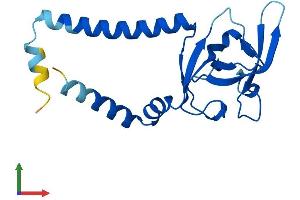 AlphaFold protein structure predicition of Mouse Recombinant Sec11a Protein, UniprotID Q9R0P6 (SEC11A Protein (AA 1-179) (His tag))
