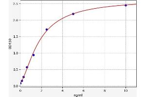 CYP21A2 ELISA Kit