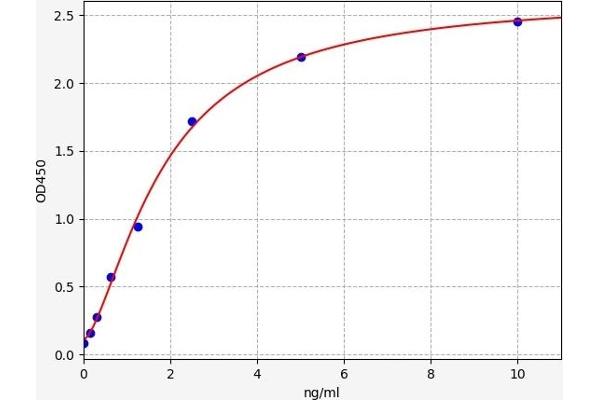 CYP21A2 ELISA Kit