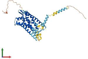 AlphaFold protein structure predicition of Human Recombinant RXFP4 Protein, UniprotID Q8TDU9 (RXFP4 Protein (AA 1-374) (His tag))