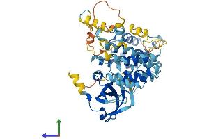 AlphaFold protein structure predicition of Mouse Recombinant Mapkapk5 Protein, UniprotID O54992 (MAPKAP Kinase 5 Protein (AA 1-473) (His tag))