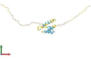 Protein Structure (PS) image for Protein Phosphatase 1, Regulatory (Inhibitor) Subunit 14A (PPP1R14A) (AA 1-147) protein (His tag) (ABIN7550948)