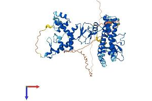 AlphaFold protein structure predicition of Human Recombinant ARIH1 Protein, UniprotID Q9Y4X5 (ARIH1 Protein (AA 1-557) (His tag))