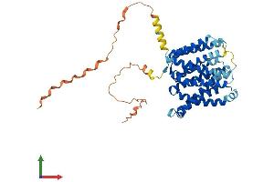 AlphaFold protein structure predicition of Mouse Recombinant Slc35f1 Protein, UniprotID Q8BGK5