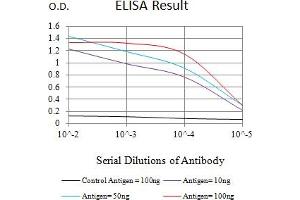 Black line: Control Antigen (100 ng),Purple line: Antigen (10 ng), Blue line: Antigen (50 ng), Red line:Antigen (100 ng) (COL3A1 antibody  (AA 24-153))