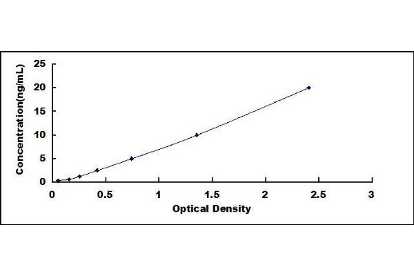 DCT ELISA Kit