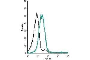 Cell surface detection of KV1. (KCNA3 antibody  (Extracellular) (Biotin))