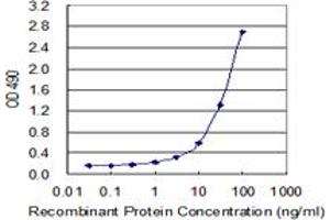 Sandwich ELISA detection sensitivity ranging from 3 ng/mL to 100 ng/mL. (HMGB1 (Human) Matched Antibody Pair)