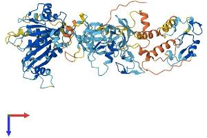AlphaFold protein structure predicition of Human Recombinant ZFYVE1 Protein, UniprotID Q9HBF4 (ZFYVE1 Protein (AA 1-777) (His tag))