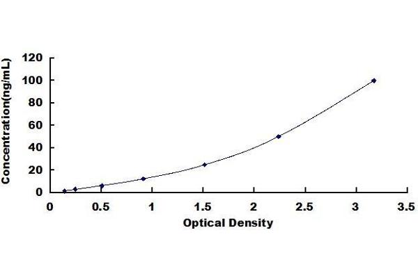 CTRB1 ELISA Kit