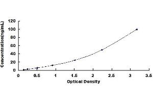 Typical standard curve (CTRB1 ELISA Kit)