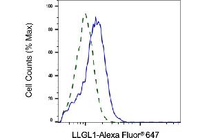 Validation of LLGL1 knockdown using flow cytometry. (Recombinant LLGL1 antibody)