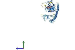 Protein Structure (PS) image for Tripartite Motif-containing 4 (TRIM4) (AA 1-500) protein (His tag) (ABIN7544591)
