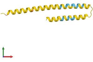 AlphaFold protein structure predicition of Human Recombinant FAM25A Protein, UniprotID B3EWG3 (FAM25A Protein (AA 1-89) (Fc Tag))