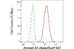 Flow cytometric analysis of Annexin A1 expression in H9c2 cells using Annexin A1 antibody (ABIN7797611), 1:2,000).