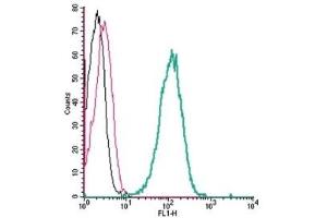 Cell surface detection of Nectin-4 by indirect flow cytometry in live intact human THP-1 monocytic leukemia cell line: (black line) Cells. (PVRL4 antibody  (Extracellular, N-Term))