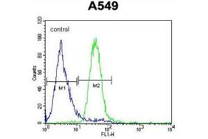 C5AR1 Antibody (Center) flow cytometric analysis of A549 cells (right histogram) compared to a negative control cell (left histogram). (C5AR1 antibody  (Middle Region))