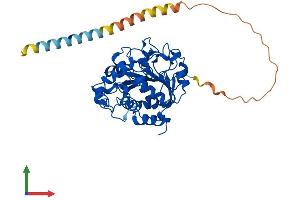 AlphaFold protein structure predicition of Human Recombinant ST6GAL1 Protein, UniprotID P15907 (ST6GAL1 Protein (AA 1-406) (His tag))