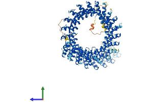 AlphaFold protein structure predicition of Mouse Recombinant Ankrd44 Protein, UniprotID B2RXR6 (ANKRD44 Protein (AA 1-993) (His tag))